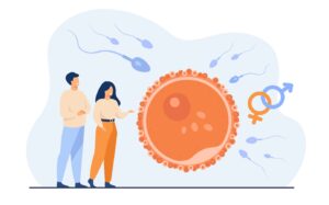 Découvrez l'IMSI en FIV, une méthode avancée qui améliore la sélection des spermatozoïdes pour augmenter les chances de fécondation et de grossesse.